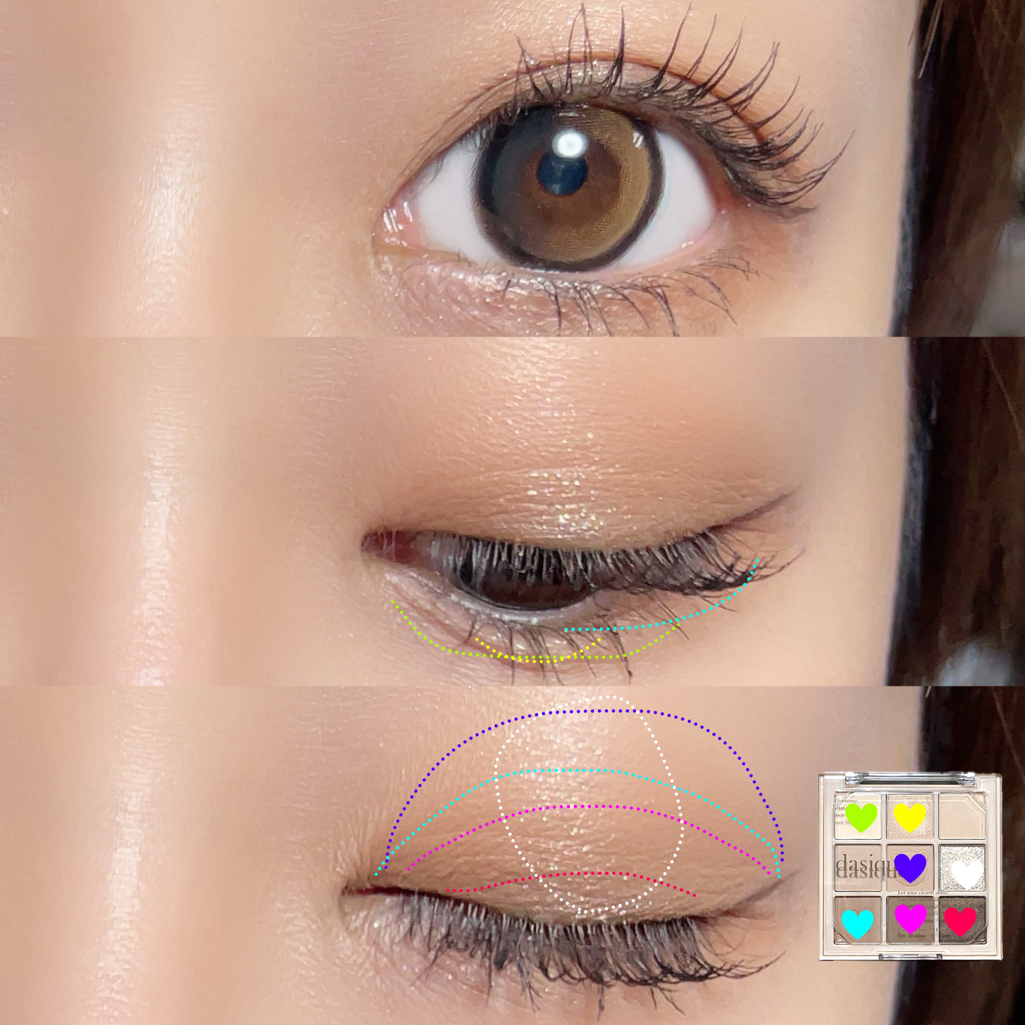 シャドウパレット 28 ブラウンベア/dasique/アイシャドウパレットを使ったクチコミ（3枚目）