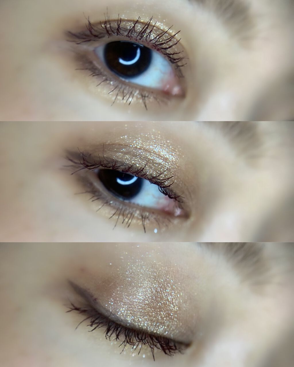 エクスプローラ12色 動物アイシャドウパレット/PERFECT DIARY/アイシャドウパレットを使ったクチコミ（3枚目）