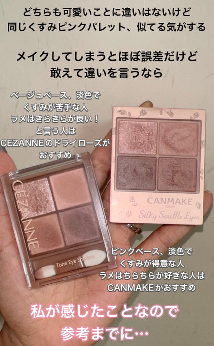 シルキースフレアイズ(マットタイプ)/キャンメイク/アイシャドウパレットを使ったクチコミ(9枚目)
