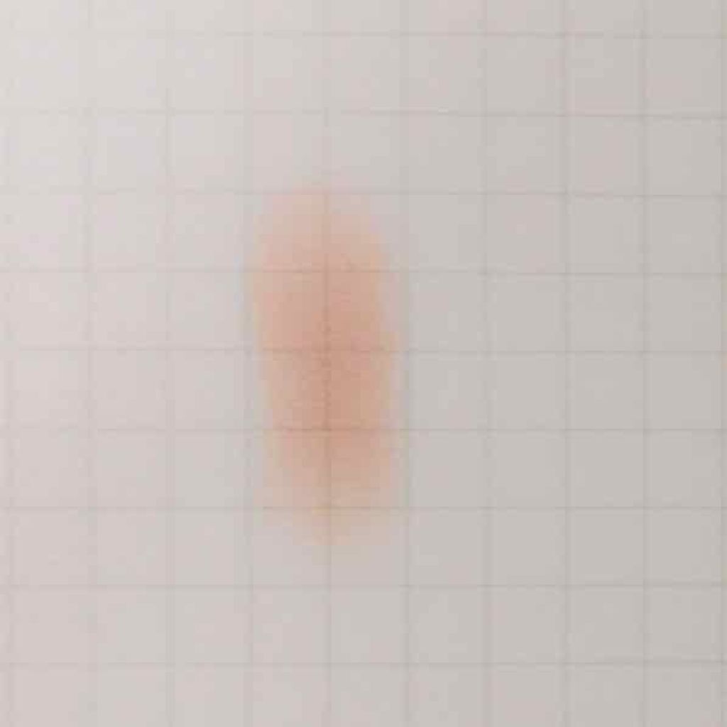 ナチュラル チークN/CEZANNE/パウダーチークを使ったクチコミ(3枚目)