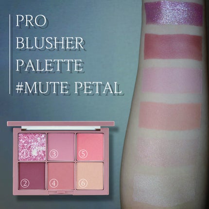 プロ ブラッシャー パレット/CLIO/パウダーチークを使ったクチコミ(1枚目)