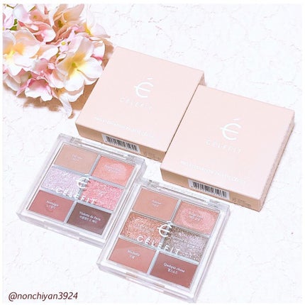 プロアイシャドウパレットセシル/CELEFIT/アイシャドウパレットを使ったクチコミ(10枚目)