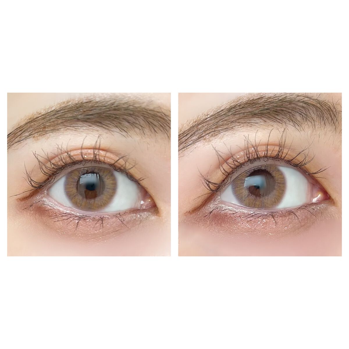 パーフェクトマルチアイズ/キャンメイク/アイシャドウパレットを使ったクチコミ(1枚目)