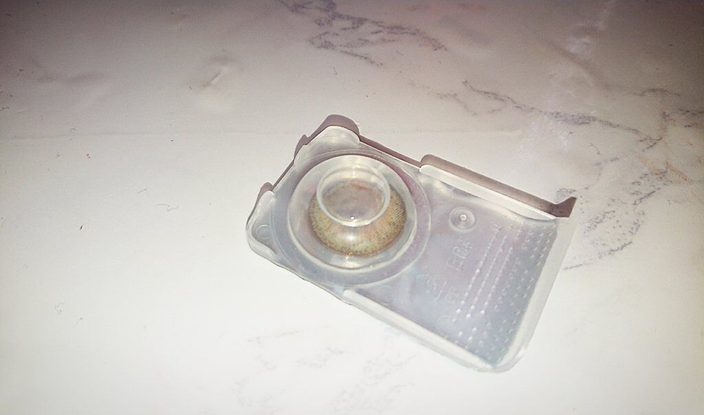 eye closet 1day SweetSeries "Girly"(アイクローゼットワンデースウィートシリーズ ガーリー)/EYE CLOSET/ワンデー(1DAY)カラコンを使ったクチコミ(2枚目)