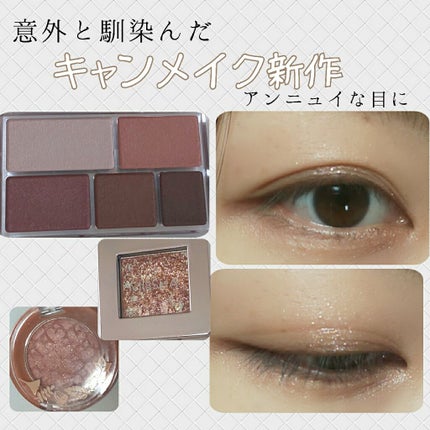 パーフェクトマルチアイズ/キャンメイク/アイシャドウパレットを使ったクチコミ(1枚目)