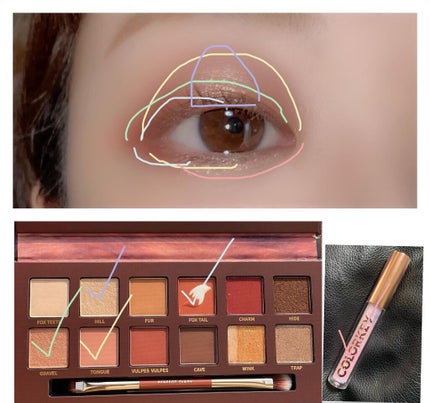 エクスプローラ12色 動物アイシャドウパレット/PERFECT DIARY/アイシャドウパレットを使ったクチコミ(1枚目)