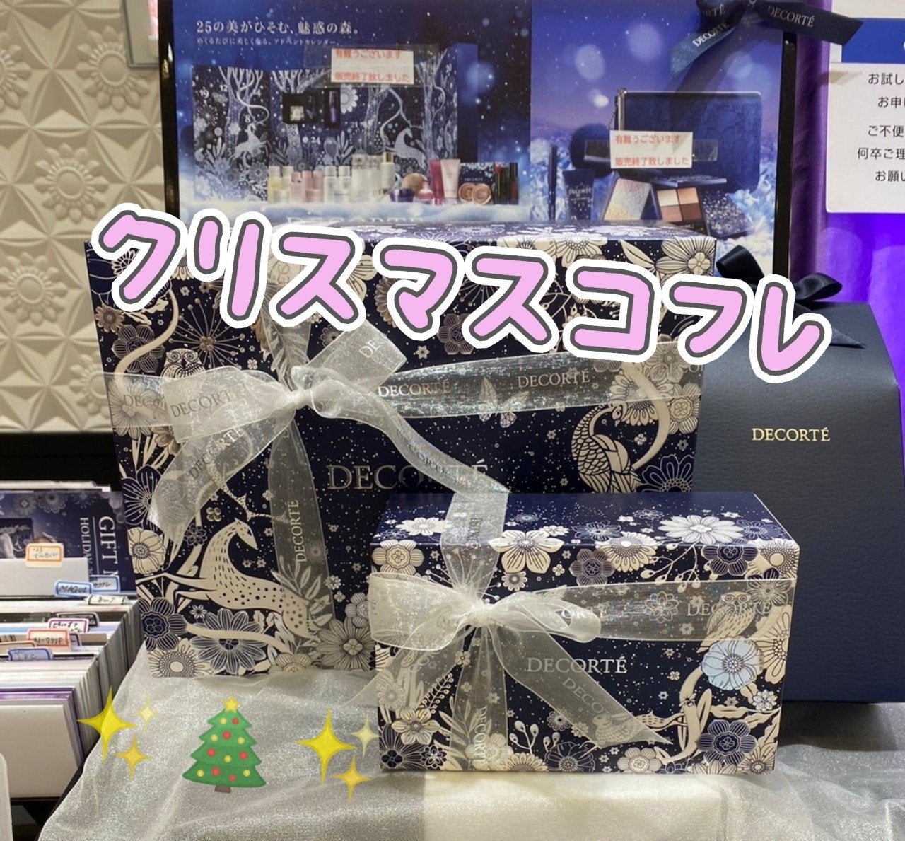 ウィンターダズル コレクション/DECORTÉ/メイクアップキットを使ったクチコミ(1枚目)