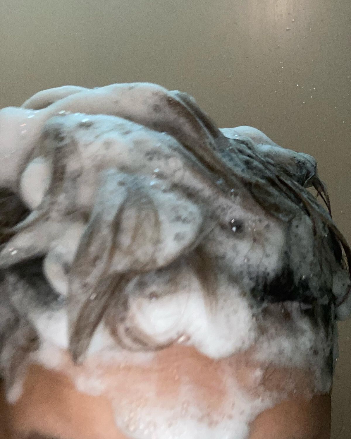 プレミアムイオンシルキースリークシャンプー(リペア&スムース) /IONICO/シャンプー・コンディショナーを使ったクチコミ(4枚目)