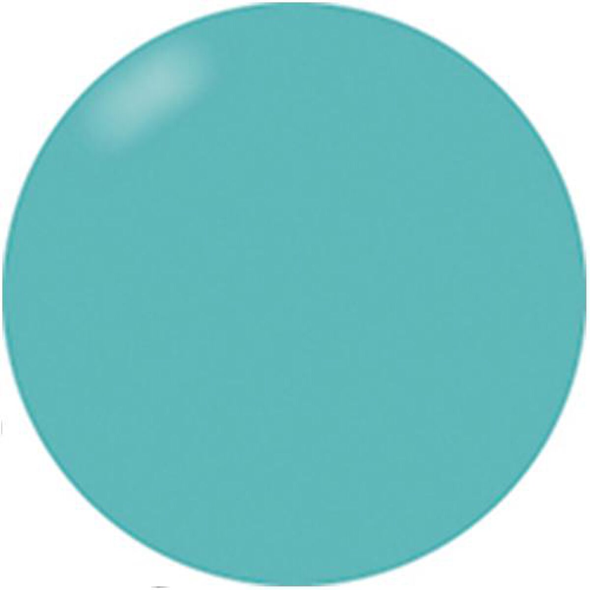 ブラッシュオンカラージェル 223