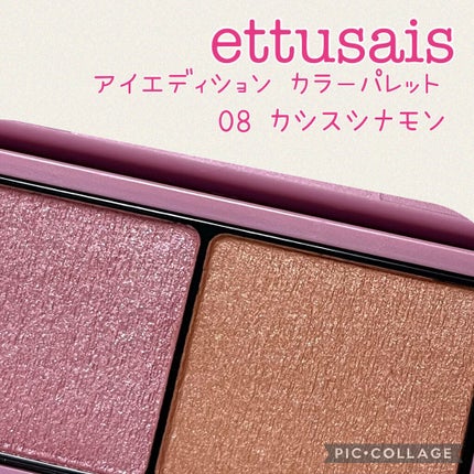 エテュセ アイエディション(カラーパレット)/ettusais/アイシャドウパレットを使ったクチコミ(1枚目)