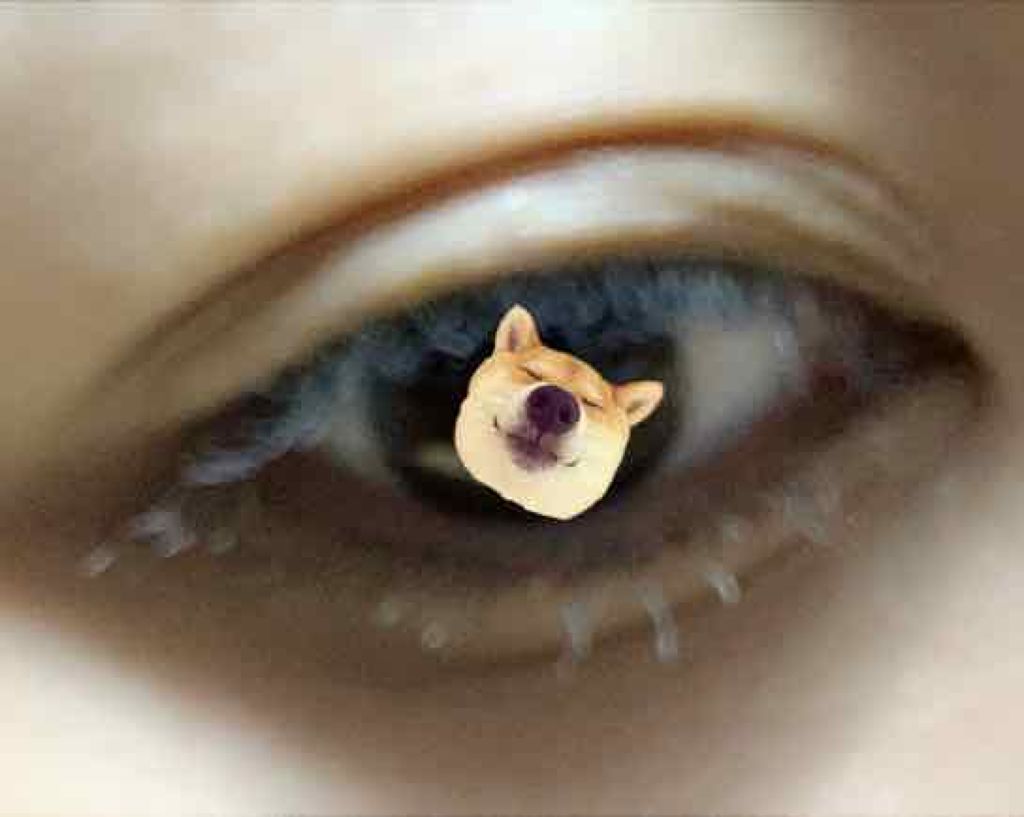 クイックラッシュカーラーL&V/キャンメイク/マスカラ下地を使ったクチコミ（3枚目）