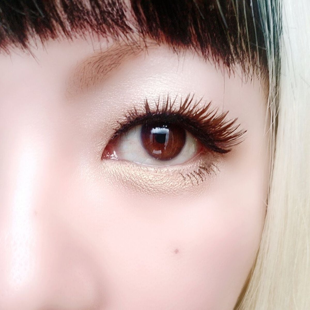 パーフェクトスタイリストアイズ/キャンメイク/アイシャドウパレットを使ったクチコミ(6枚目)