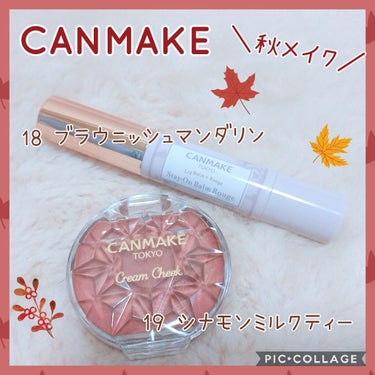 ＊CANMAKE
ステイオンバームルージュ
18 ブラウニッシュマンダリン


オレンジブラウンの色味

オレンジ味が結構強くて今からでも使えるしこれからの秋の季節にもぴったり🍁

オレンジ大好き芸人に