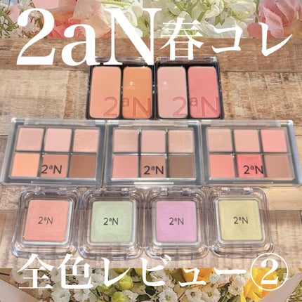 ピュアグラッシュ ハイライター/2aN/パウダーハイライトを使ったクチコミ(1枚目)