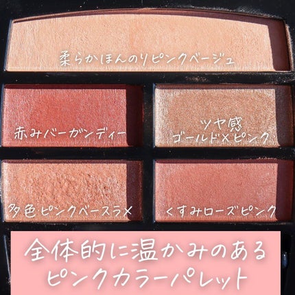 レ ベージュ パレット ルガール/CHANEL/アイシャドウパレットを使ったクチコミ(3枚目)