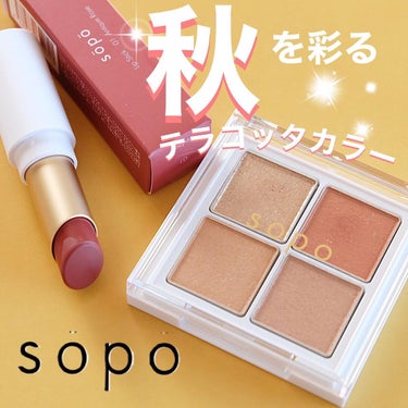 アイパレット 03 スパイシーオレンジ/sopo/アイシャドウパレットを使ったクチコミ（1枚目）