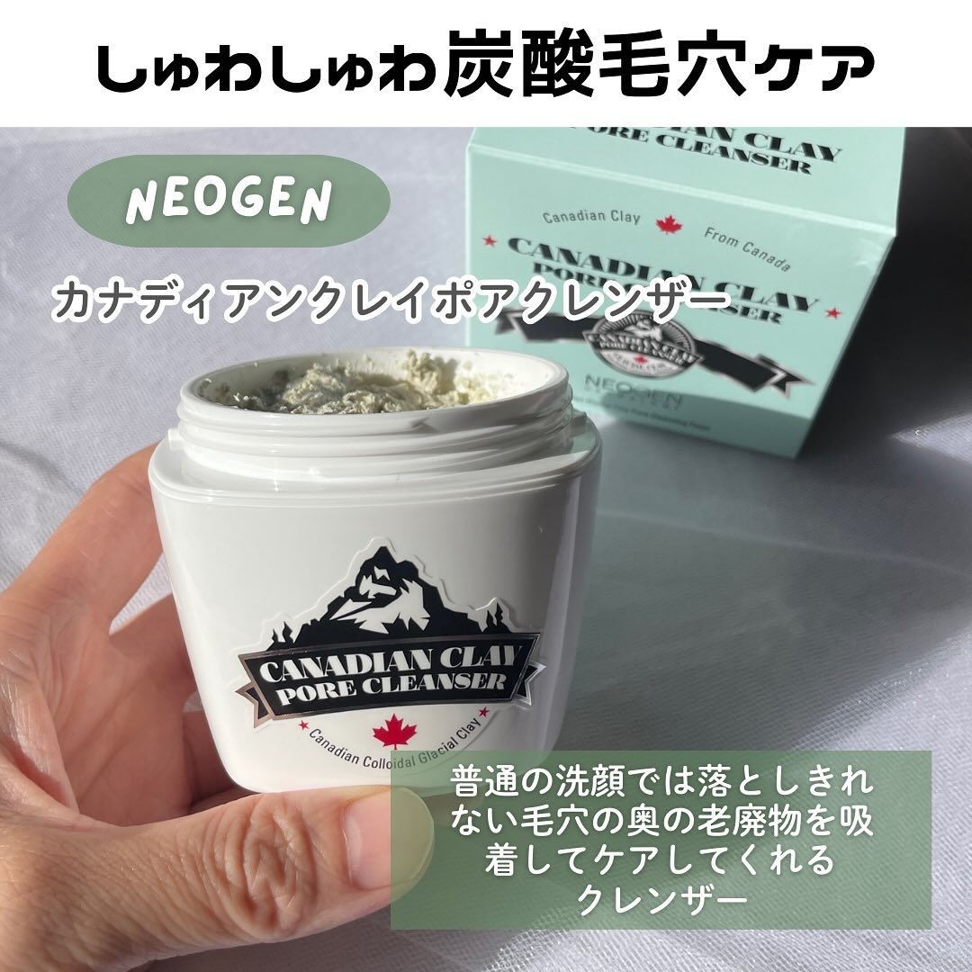 カナディアンクレイ ポア クレンザー/NEOGEN/洗い流すパック・マスクを使ったクチコミ（2枚目）