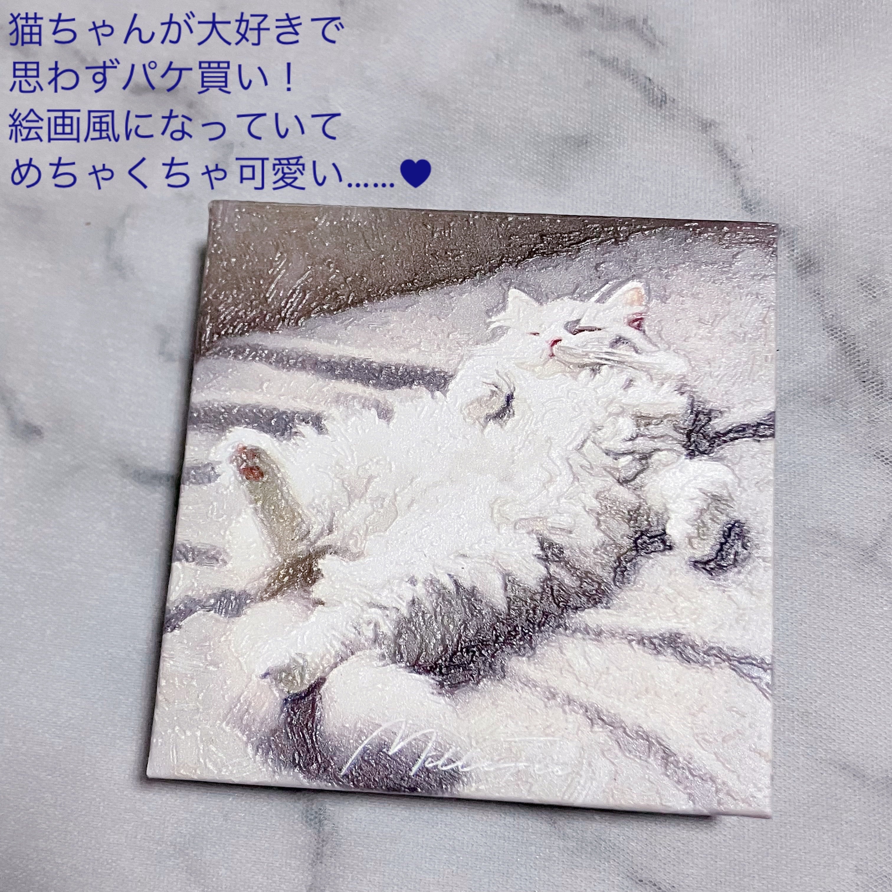 マイキティアイパレット 04 ミヌエット/MilleFée/アイシャドウパレットを使ったクチコミ（3枚目）