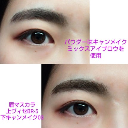 リシェ カラーリング アイブロウマスカラ/Visée/眉マスカラを使ったクチコミ(4枚目)