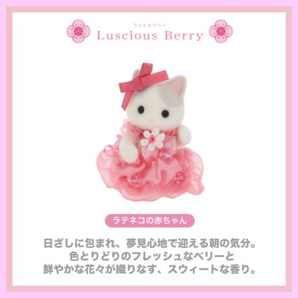 ジルスチュアート ラシャスベリー ボディミルク (ややしっとり) /JILL STUART/ボディミルクを使ったクチコミ(6枚目)