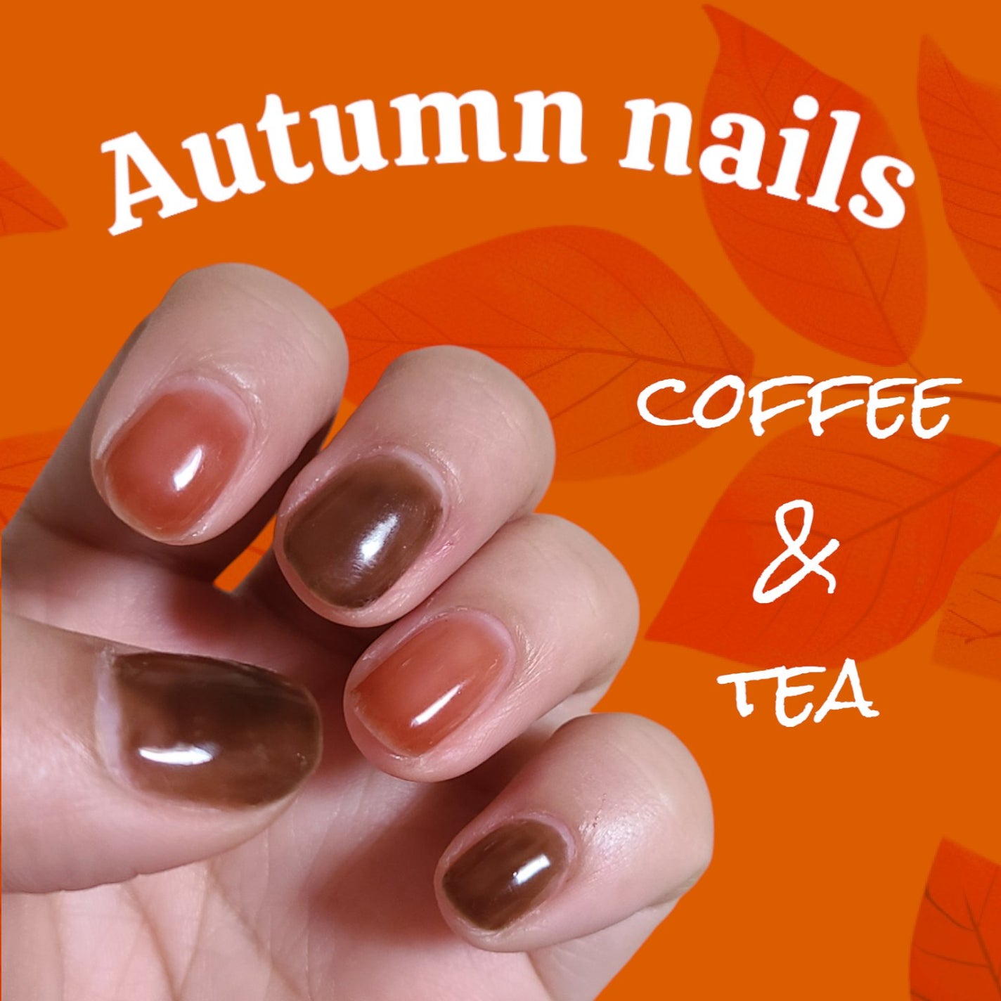 パル カラージェル/キャンドゥ/ジェルネイルを使ったクチコミ(1枚目)