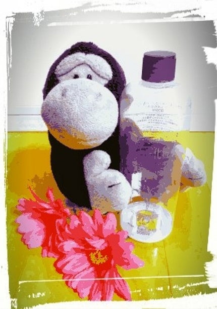 ハトムギ化粧水(ナチュリエ スキンコンディショナー R )/ナチュリエ/化粧水を使ったクチコミ(1枚目)