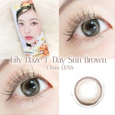 ＼チューレンズから待望の新作出た🌼.*／

✔︎︎︎︎chuu LENS
Lily Daze 1day
( Sun Brown )

DIA:14.2mm /G.DIA:13.0mm /BC:8.7mm