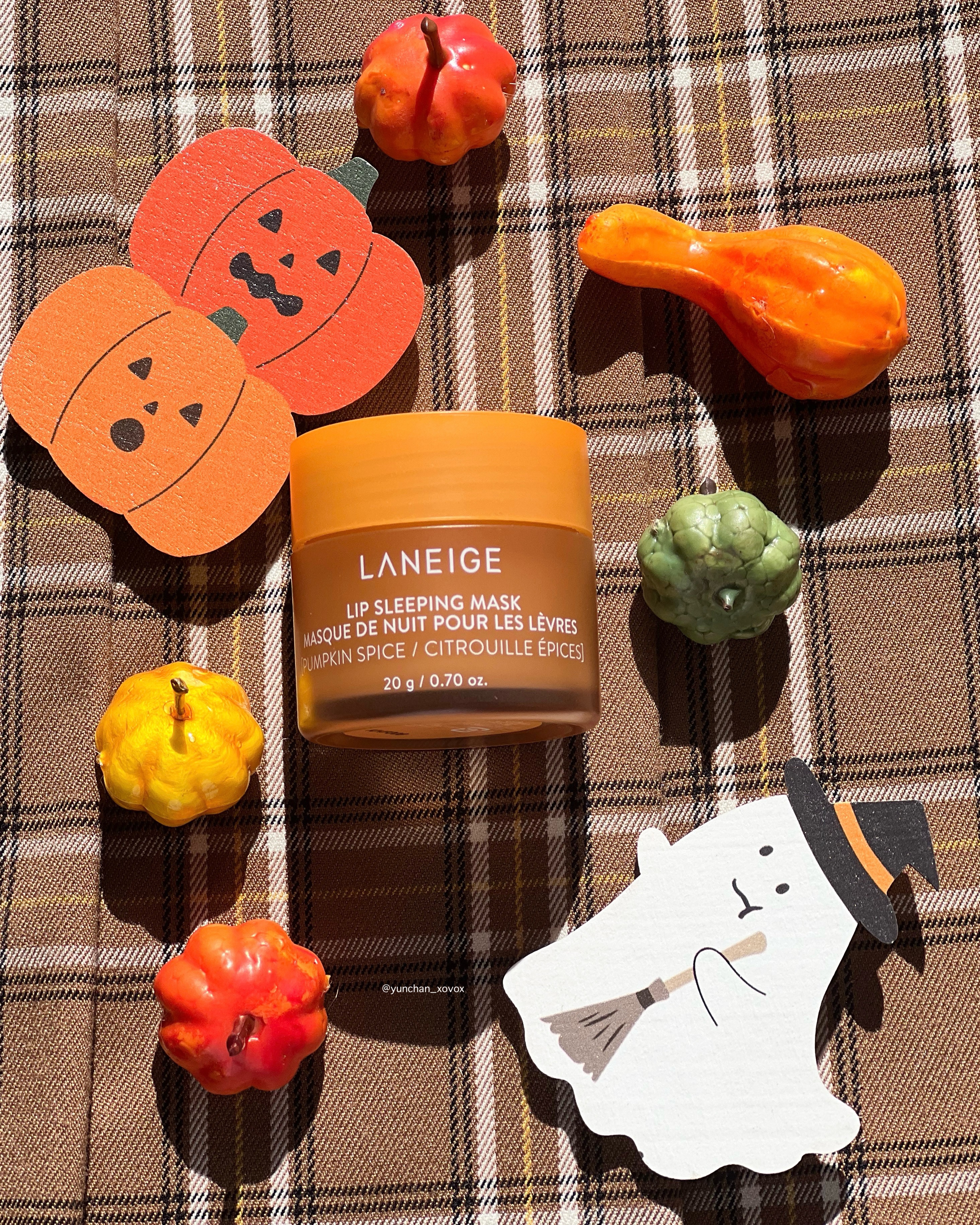 リップスリーピングマスク パンプキンスパイス/LANEIGE/リップバームを使ったクチコミ（2枚目）