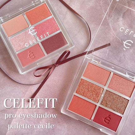 プロアイシャドウパレットセシル/CELEFIT/アイシャドウパレットを使ったクチコミ(1枚目)