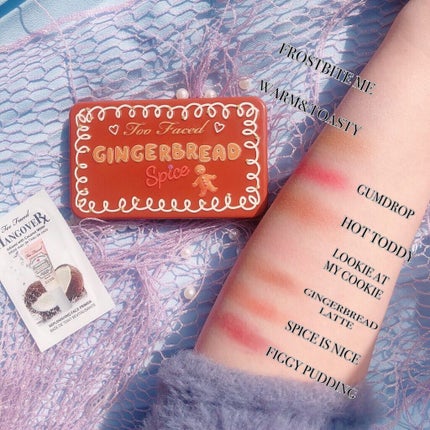 ジンジャーブレッド スパイス ミニ アイシャドウ パレット/Too Faced/アイシャドウパレットを使ったクチコミ(2枚目)