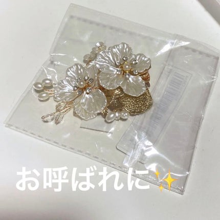 ヘアクリップ/SHEIN/ヘアアクセサリーを使ったクチコミ(1枚目)