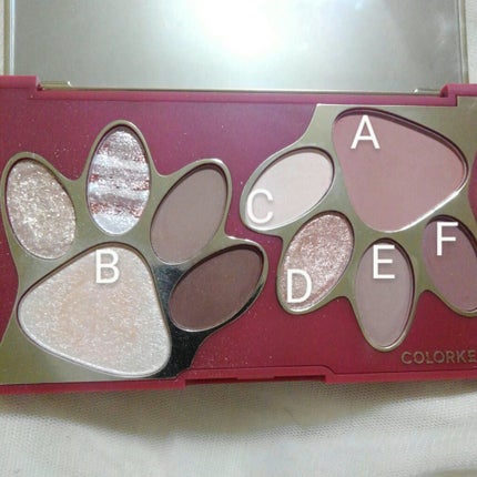トラ十色アイシャドウパレット/COLORKEY/アイシャドウパレットを使ったクチコミ(2枚目)