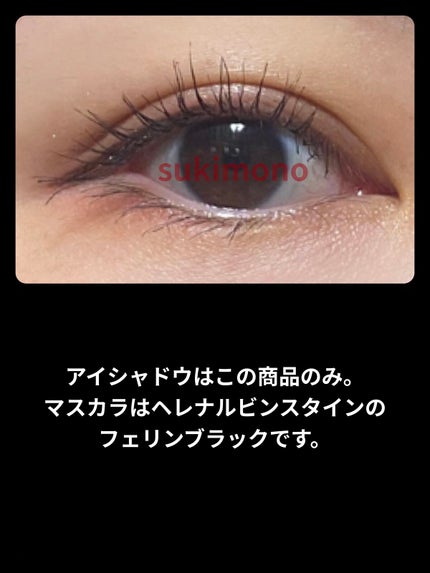 コンスピキュアス ダブルアイズ 06 オレンジブラウン/Amplitude/アイシャドウパレットの画像