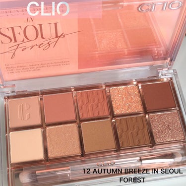 プロ アイ パレット 12 AUTUMN BREEZE IN SEOUL FOREST/CLIO/アイシャドウパレットを使ったクチコミ（1枚目）