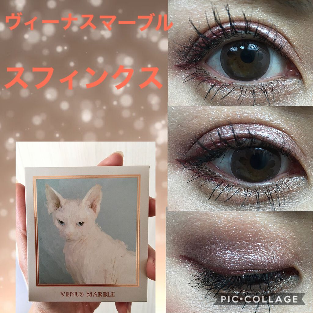 Venus Marble アイシャドウキャットシリーズ/Venus Marble/アイシャドウパレットを使ったクチコミ（1枚目）
