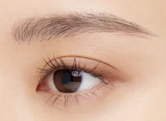 デザイニングアイブロウリクイド LE1 Noble Gray