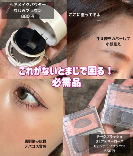 ノーズ&アイブロウパウダー/CEZANNE/パウダーアイブロウを使ったクチコミ(6枚目)