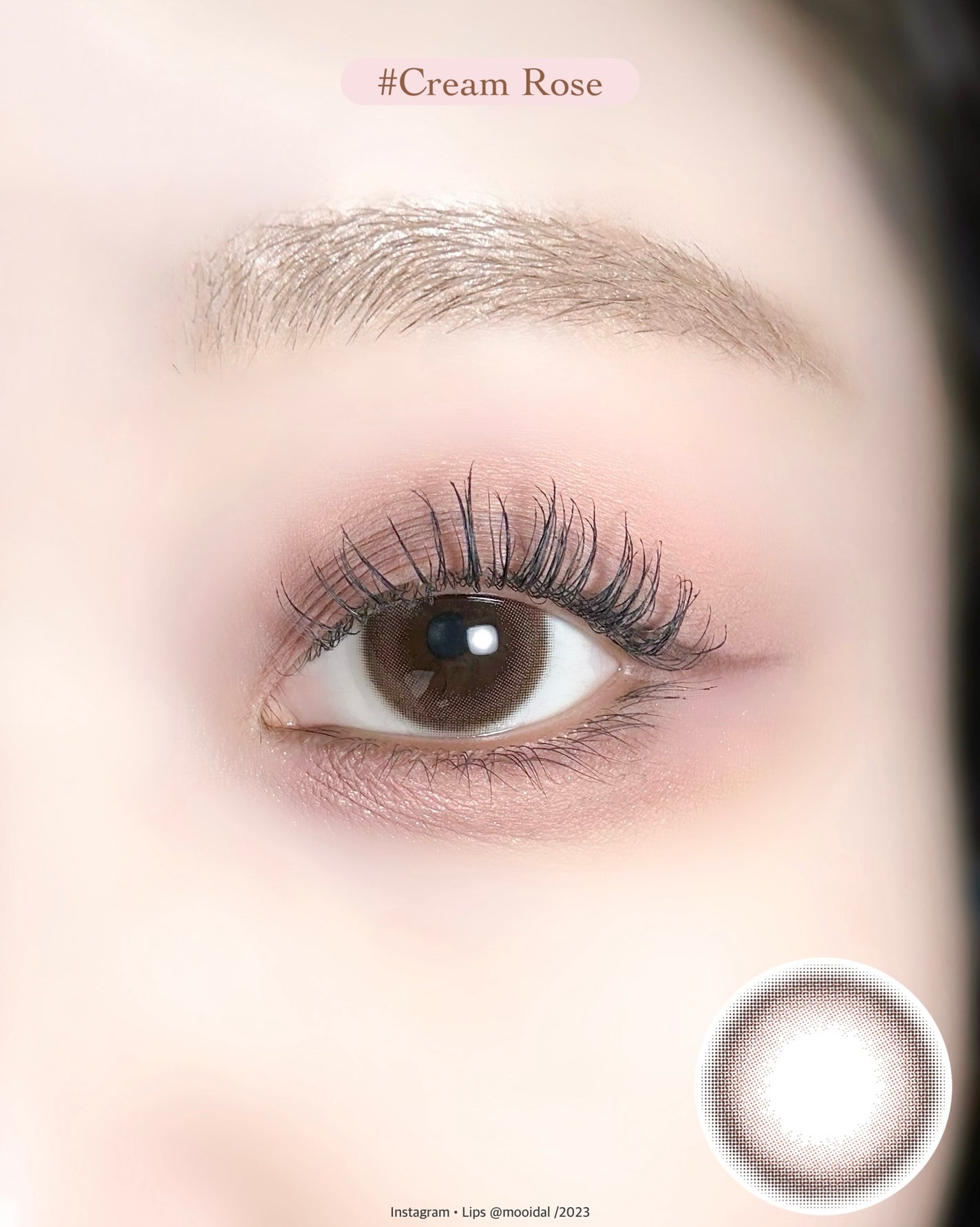 TOPARDS 1day/TOPARDS/ワンデー(1DAY)カラコンを使ったクチコミ(5枚目)