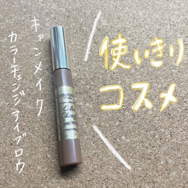 使い切りコスメ　キャンメイク　カラーチェンジアイブロウ

【価格】
¥550（税込）

【商品説明】

ひと塗りでブリーチ級の高発色。眉色しっかり変えて一気におしゃれ顔に。こすれに強くお湯で落とせます。