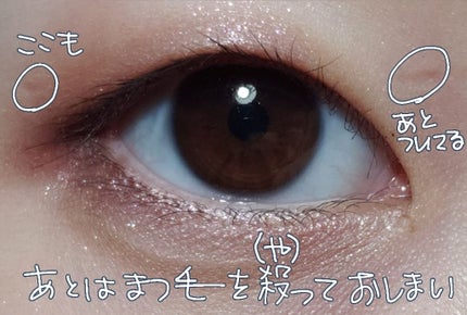 【旧品】パーフェクトスタイリストアイズ/キャンメイク/アイシャドウパレットを使ったクチコミ(3枚目)