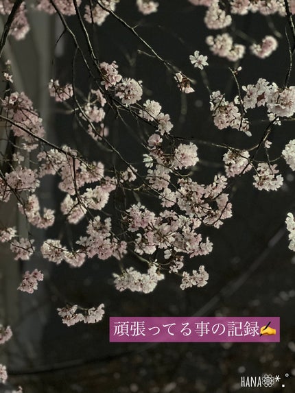 白潤プレミアム 薬用浸透美白乳液/肌ラボ/乳液を使ったクチコミ(1枚目)