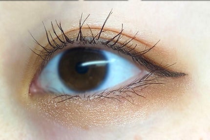 パーフェクトマルチアイズ/キャンメイク/アイシャドウパレットを使ったクチコミ(2枚目)