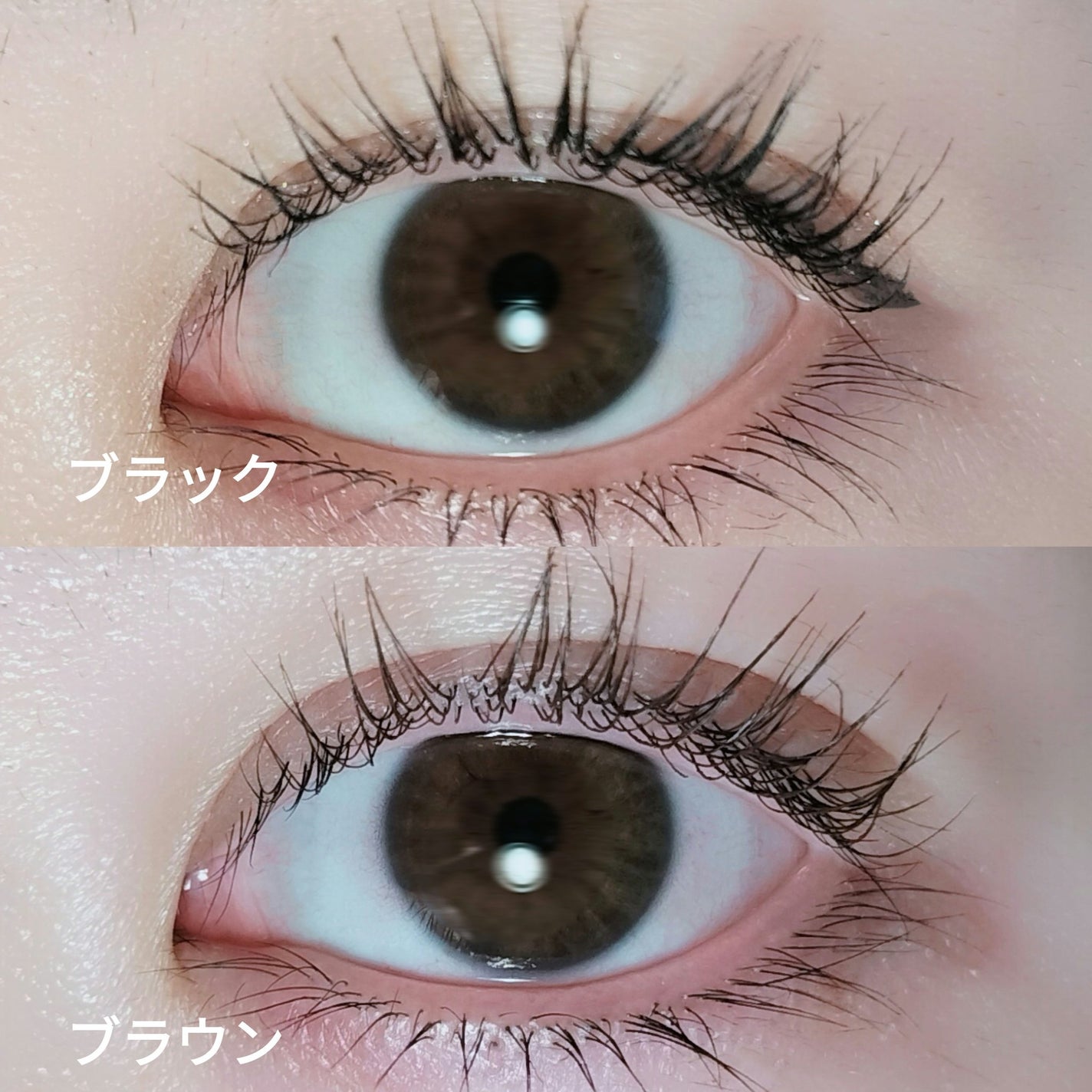 マスカラ WP/3650/マスカラを使ったクチコミ(6枚目)