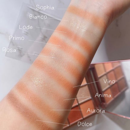 The Bella collection eyeshadow palette/CELEFIT/アイシャドウパレットを使ったクチコミ(5枚目)