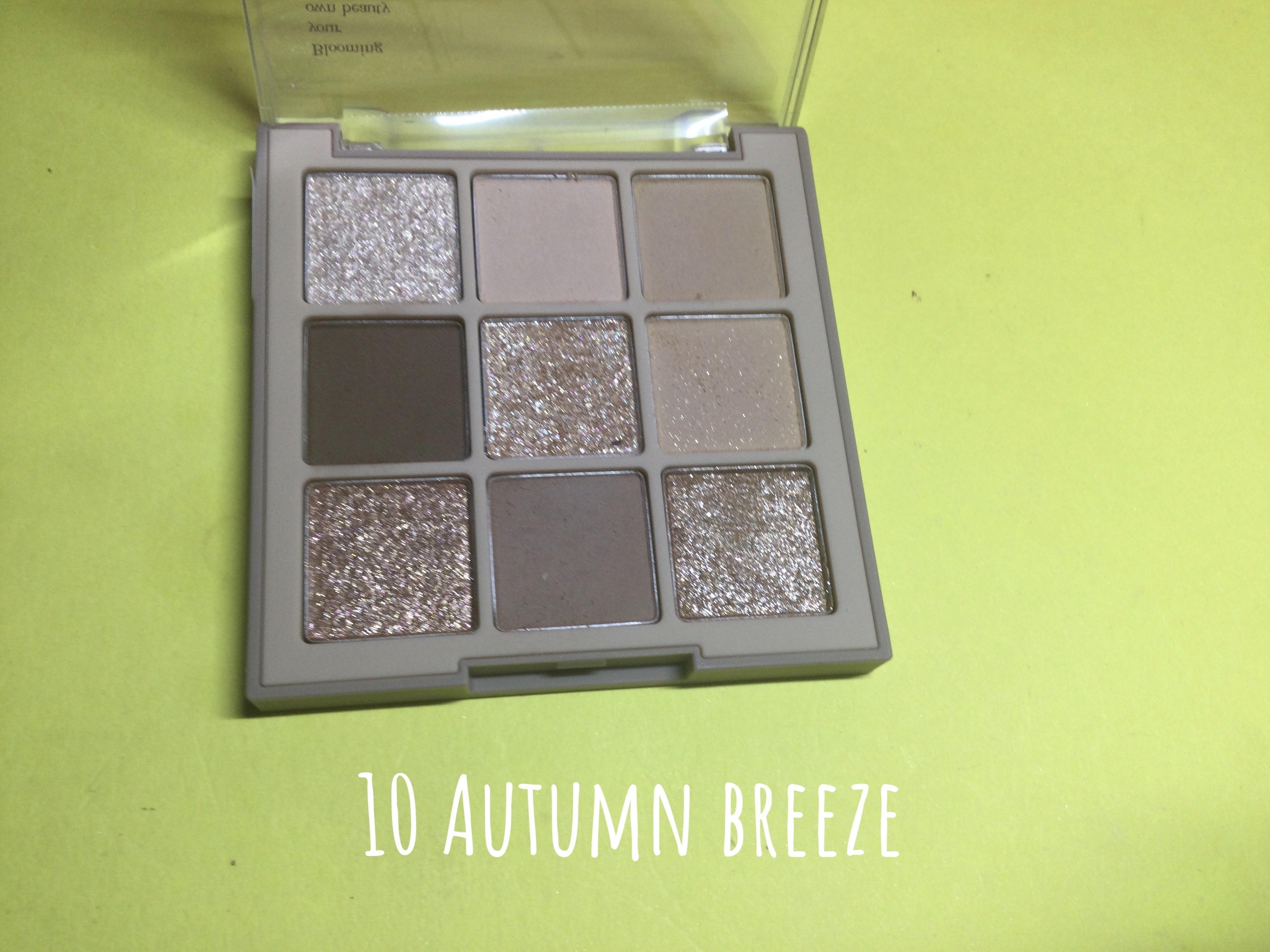 シャドウパレット/dasique/アイシャドウパレットを使ったクチコミ（3枚目）