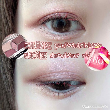 【旧品】パーフェクトスタイリストアイズ/キャンメイク/アイシャドウパレットを使ったクチコミ(1枚目)