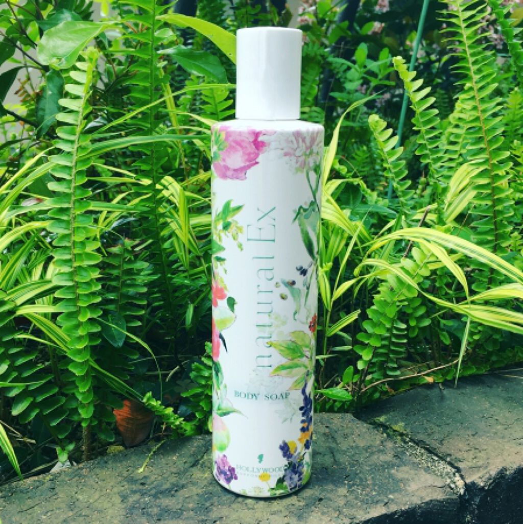 ハリウッド ナチュラルEX ボディソープ h