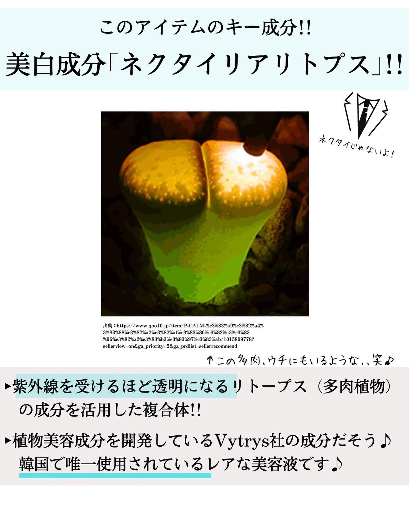 めがねちゃん👓フォロバ on LIPS 「←こちらから過去のおすすめが見られます元化粧品研究者のめがねち..」(5枚目)