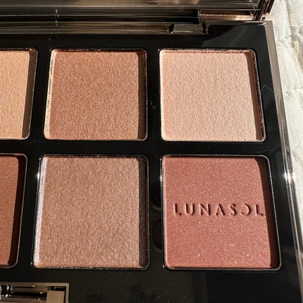 アイカラーレーション スペシャルエディション/LUNASOL/アイシャドウパレットを使ったクチコミ(3枚目)