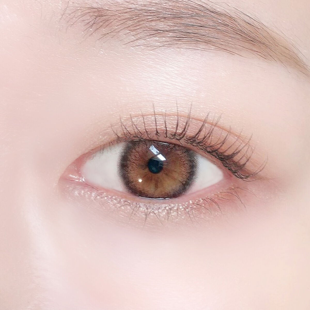 ビュームワンデー レディショコラ